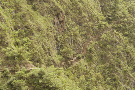 A view of the Inca Trail.