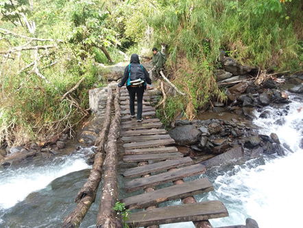 Emily walking on a sketchy bridge during our hike through the jungle.