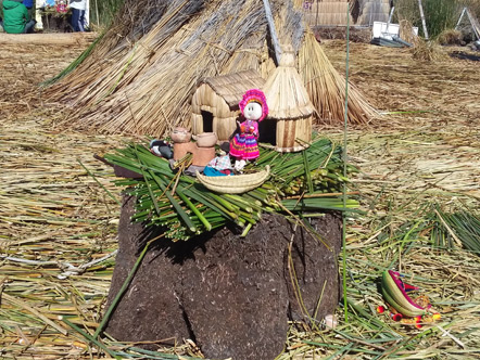 The Uros Islands are built on the root structure of the totora reed. They tie the roots together to build 