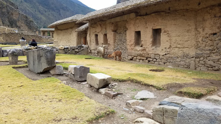 There was a llama and an alpaca by the entrance of the ruins.