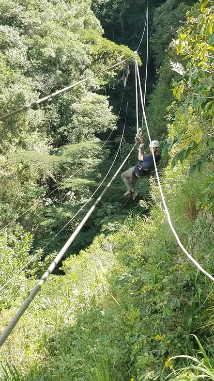 Ziplining through the trees.