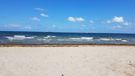 The beach in Fort Lauderdale. We got to see the Pacific Ocean and Atlantic Ocean this trip.