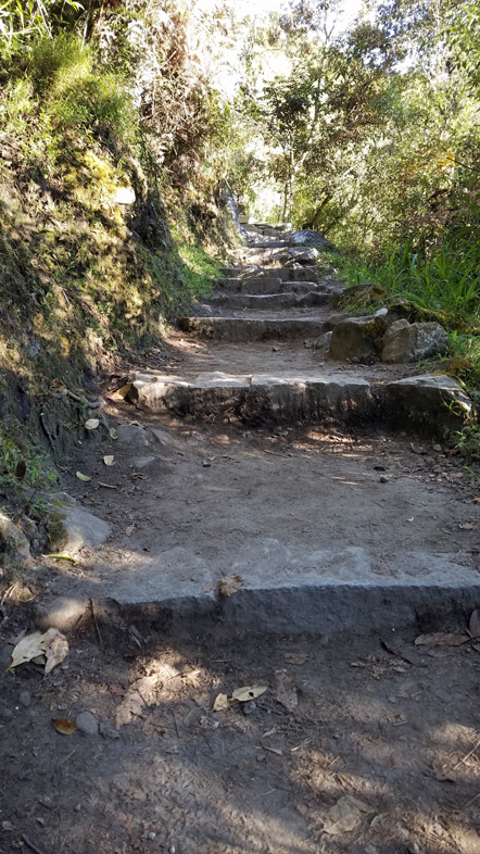 The trail to the entrance of Machu Picchu.